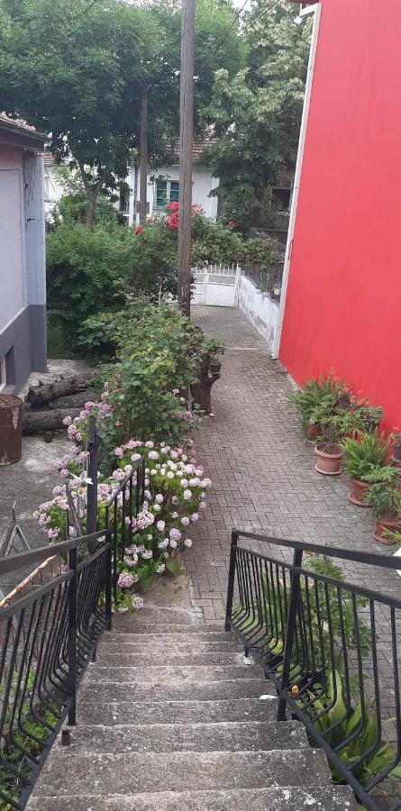 Stan Za Iznajmuvanje So Parking,Blisku Do Centar. Kumanovo Extérieur photo